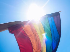 sodomy flag same-sex