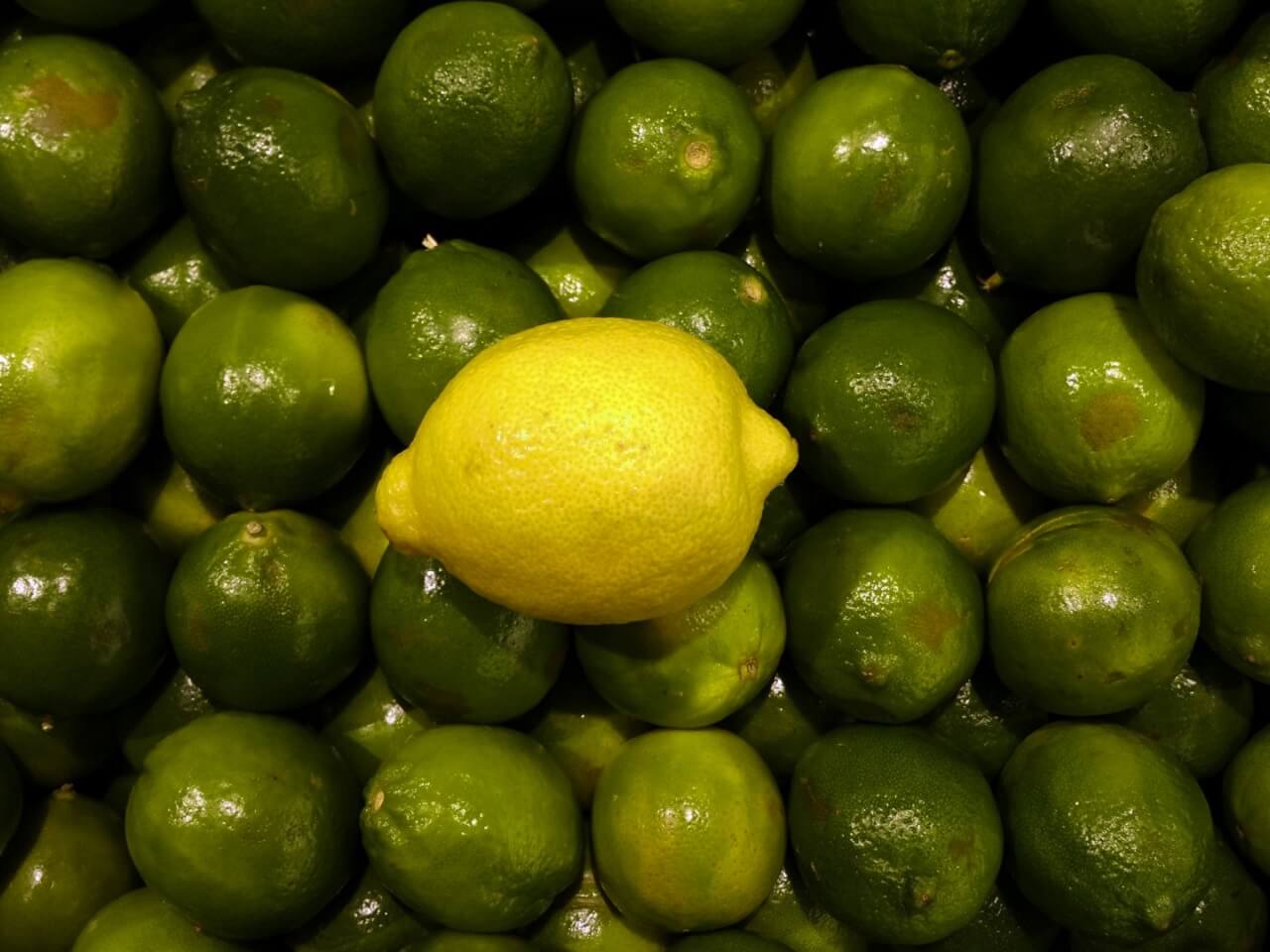 insanity lemon