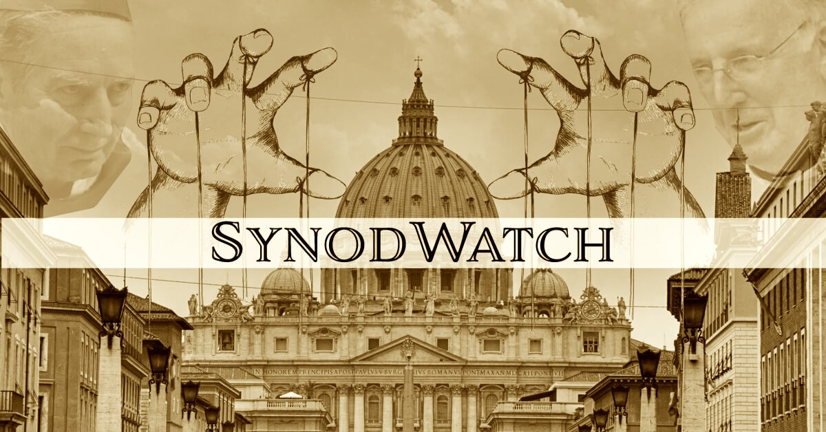 What would you want to say at the Synod?